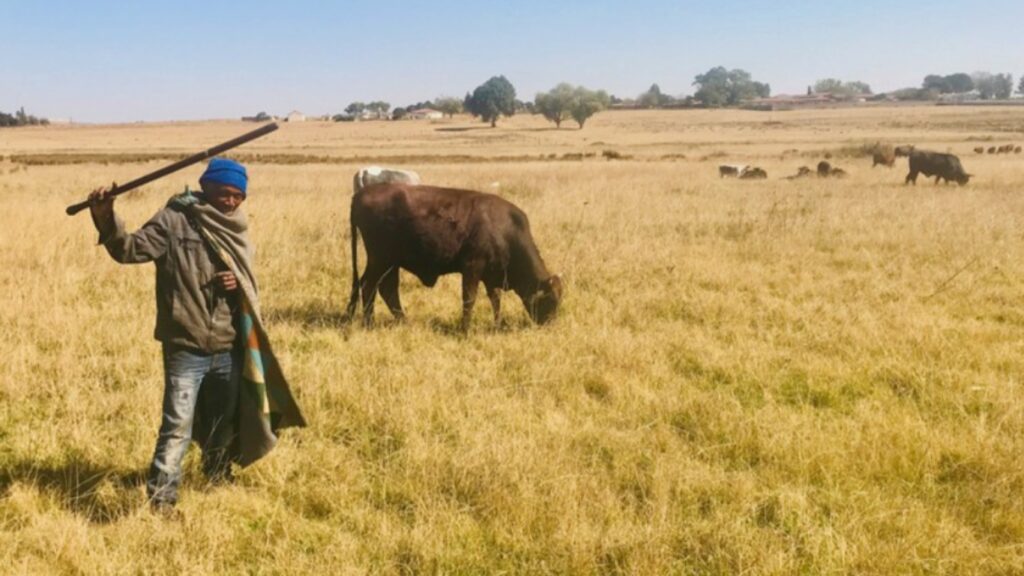 Bohlokwa ba leruo setsong sa Sesotho
